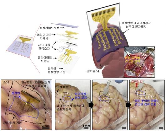 헤럴드경제