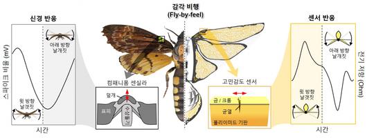 헤럴드경제