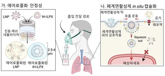 헤럴드경제