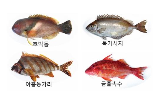 헤럴드경제