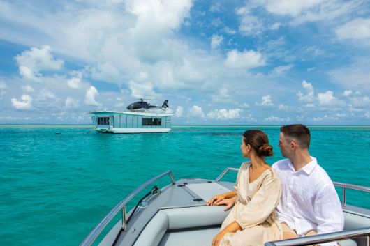 해밀턴 아일랜드