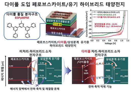 헤럴드경제