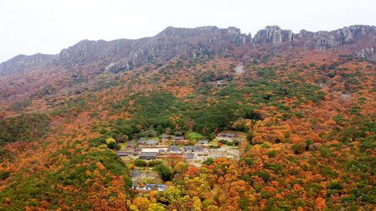 헤럴드경제