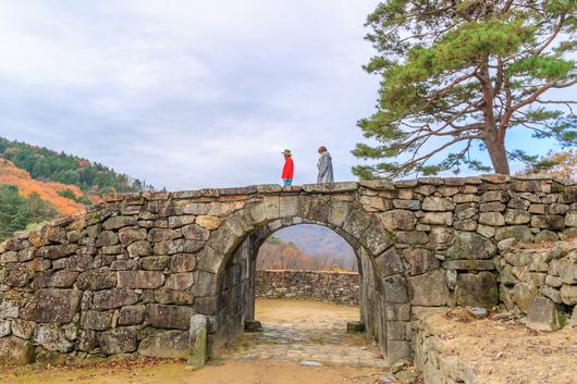 헤럴드경제