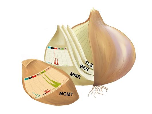 헤럴드경제