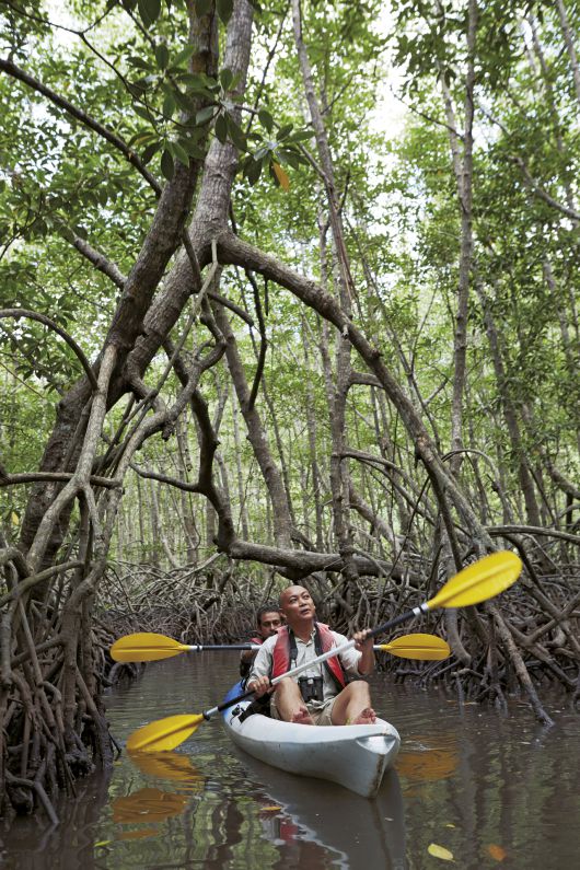 가야섬 친환경 숲 카야킹