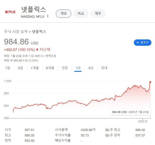 지난 23일(현지시간) 장 종료 시점 기준 최근 1년간 넷플릭스 주가 흐름. [구글 금융 캡처]