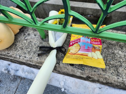 헤럴드경제