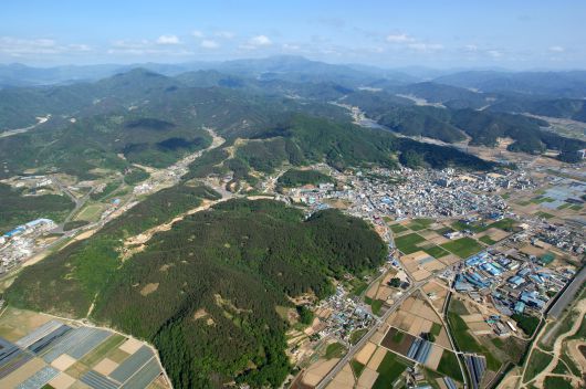 헤럴드경제