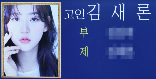 헤럴드경제