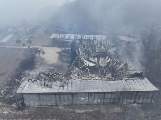 26일 경북 안동시 남선면 신석2리의 한 농장 건물이 전날 마을로 번진 산불로 불에 타 무너져 있다. [연합]