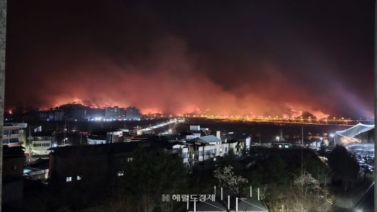국립경국대학교에서 바라본 안동 산불(독자 권용성씨제공)