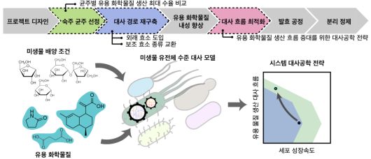 유전체 수준 대사 모델을 이용한 미생물 세포 공장 개량 전략 개요.[KAIST 제공]