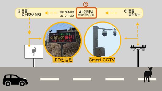 동물 찻길 사고 예방 및 모니터링 시스템 구성도. [포스코DX 제공]