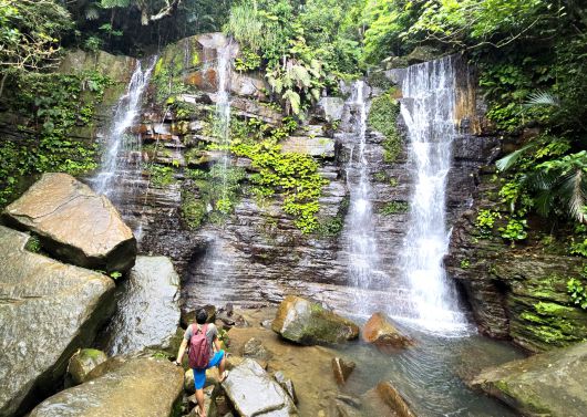 이리오모테 호시노호텔이 안내하는 생태탐방. 게다폭포
