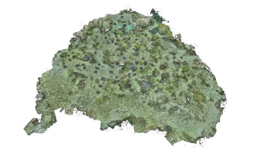 삼성전자 해양 생태계 복원 프로젝트 ‘코랄 인 포커스(Coral in Focus)’의 3D 산호초 복원도. [삼성전자 제공]