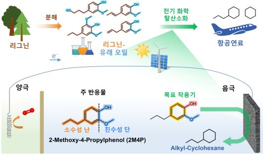 전기화학적 탈산소화(EHDO)를 통한 리그닌 유래 오일의 업그레이드 모식도.[KIST 제공]