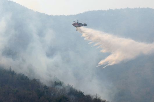 경남 산청군 지역 산불 발생 나흘째인 지난달 24일 오전 산림청 헬기가 산청군 단성면 일대 산불을 진화하고 있다. [연합]