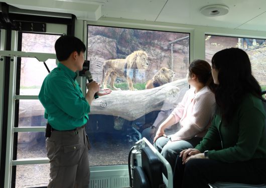 에버랜드 굿모닝사파리 스페셜 트램