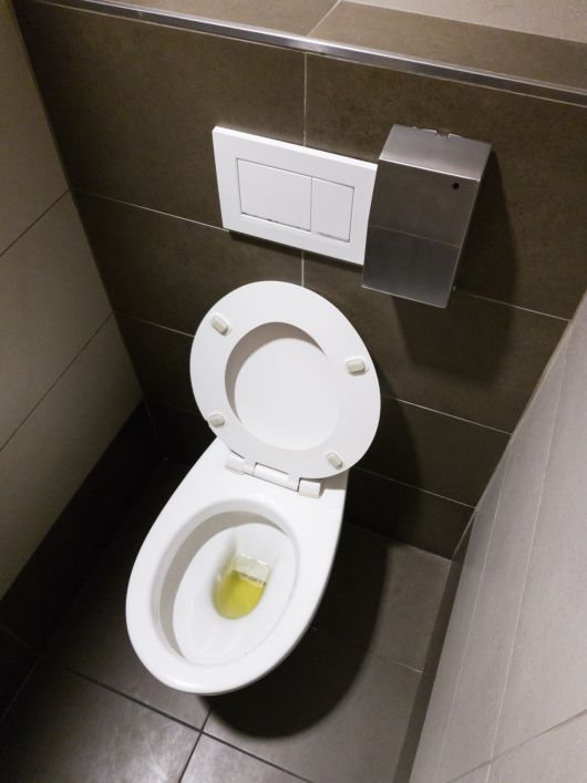 [게티이미지뱅크]