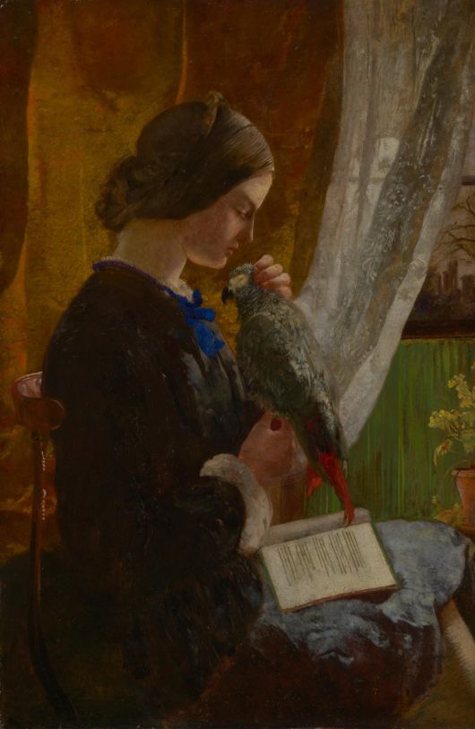 월터 데버렐, 회색 앵무새, 1852~1853, 캔버스에 유채, 53.5x35.2cm, 빅토리아 국립 미술관