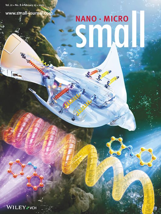 이번 연구성과가 게재된 국제학술지 ‘스몰’ 2월호 후면 표지.[한국화학연구원 제공]