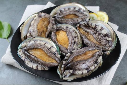 완도 전복. [연합]