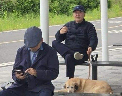 헤럴드경제