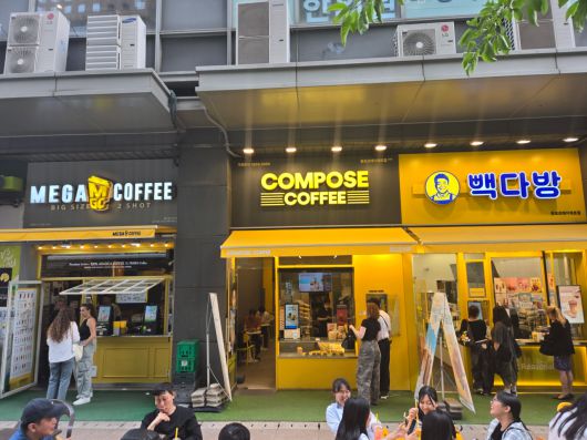 서울 종로구 메가MGC커피·컴포즈커피·빽다방 매장 모습. 정석준 기자