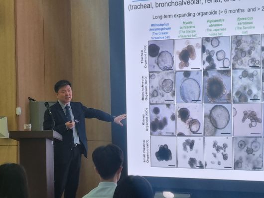 최영기 한국바이러스기초연구소장이 박쥐 오가노이드에 대해 설명하고 있다.[IBS 제공]