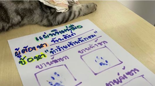 경찰관을 공격해 체포된 고양이가 자신의 발바닥 도장 옆에 누워 있다. [페이스북]