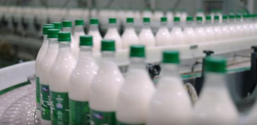 서울장수 ‘장수 생막걸리’ 제조과정 [서울장수 제공]