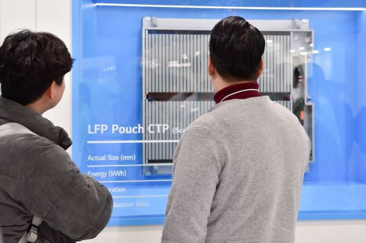 LG에너지솔루션 부스에 전시된 LFP 배터리를 참관하고 있는 일반 시민들 [LG에너지솔루션]