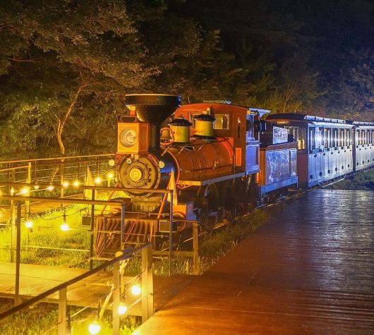 거꾸로 달리는 기차