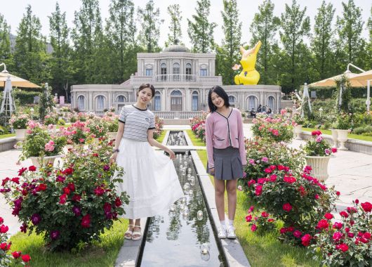 에버랜드 장미축제 ‘로즈가든 로열 하이티’ 현장 [에버랜드 제공]