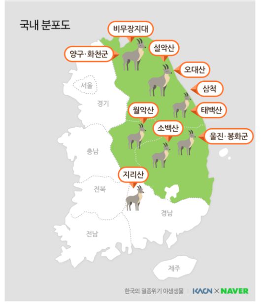 산양 분포도[출처 : 네이버 지식백과]