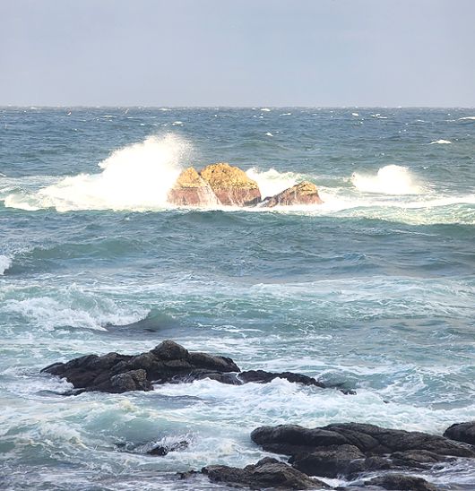죽변 거북바위[울진군 제공]