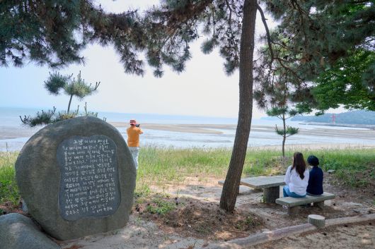 장흥 여닫이 해변. 한강의 아버지 한승원 이름을 딴 문학산책로에 애호가들이 몰리고 있다.