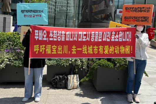 푸바오 구명을 위한 팬들의 피켓시위. 스촨성 기지로부터의 탈출을 촉구하고 있다.