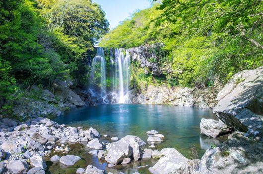 제주 천지연폭포