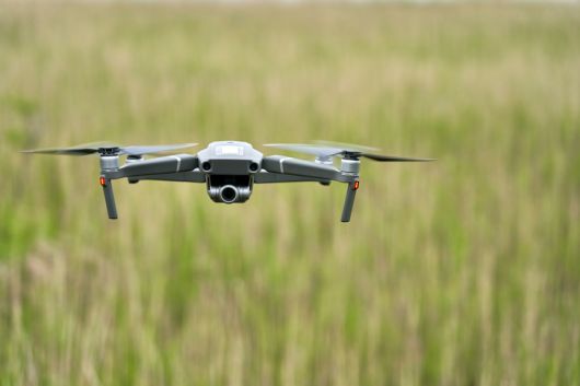 [게티이미지뱅크]