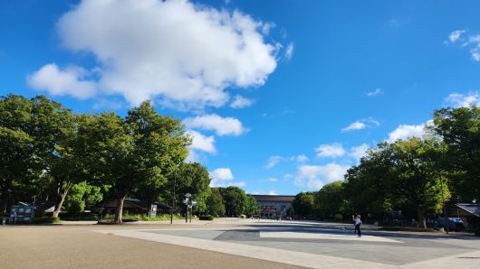 일본의 파란 하늘.[독자 제공]