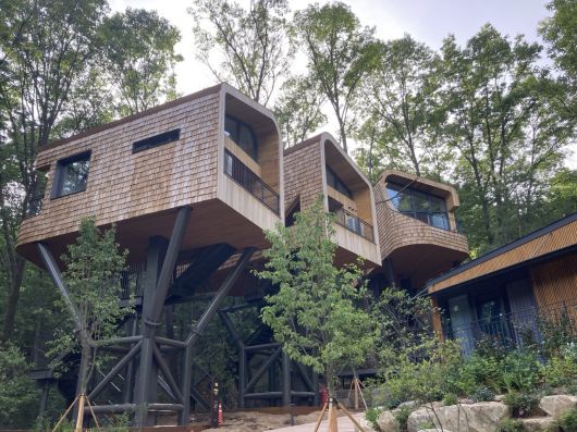 수락휴 트리하우스 모습. 손인규 기자