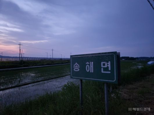 13일 오전 5시께 강화군 송해면 도로 표지 뒤로 해가 뜨고 있다. 강화=이영기 기자