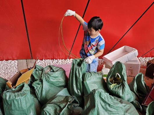 14일 강원도 영월에서 클린하이커스가 주최해 열린 ‘제1회 쓰레기줍기대회’ 참가자들이 모은 쓰레기. 한 참가자가 정크아트를 위해 쓰레기를 고르고 있다. 김광우 기자.