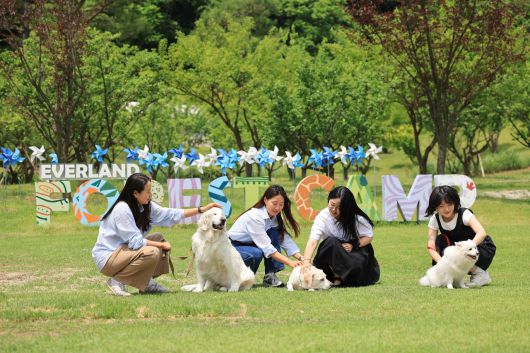 에버랜드 반려견 동반 비타민 캠프 ‘멍하니 걷개’ 론칭