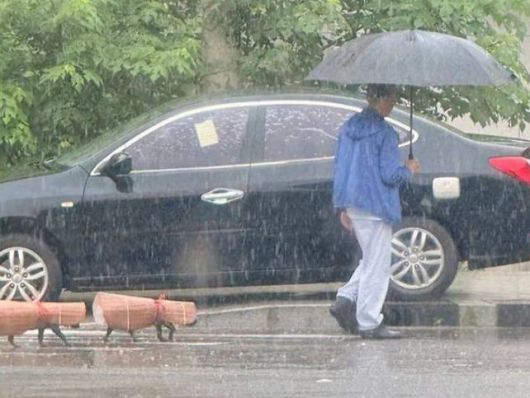 [온라인 커뮤니티]