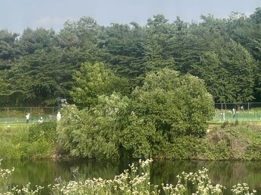 탄천파크골프장. 박병국 기자