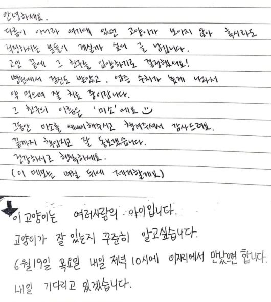 길고양이를 입양한 사람이 남긴 메모에 ‘캣맘’이 적은 글 [온라인 커뮤니티 갈무리]