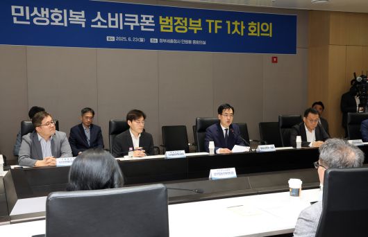 김민재 행정안전부 차관이 23일 정부세종청사 민원동 중회의실에서 열린 민생 회복 소비쿠폰 범정부 TF 1차 회의를 주재하고 있다. [연합]